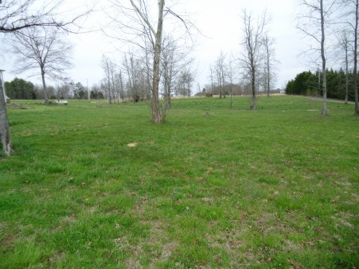 1048 Keener Road Seymour, TN 37865 - Photo 8 of 25 Additional Photo