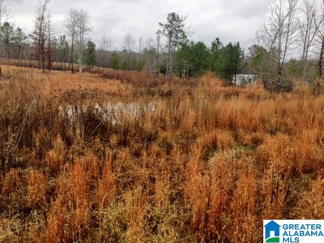 2266 Gilberts Ferry Road Ohatchee, AL 36271 - Photo 31 of 33