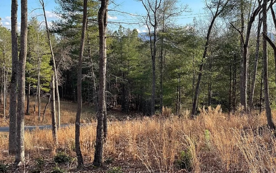 76 Highland Road Blairsville, GA 30512 - Photo 8 of 42 Additional View
