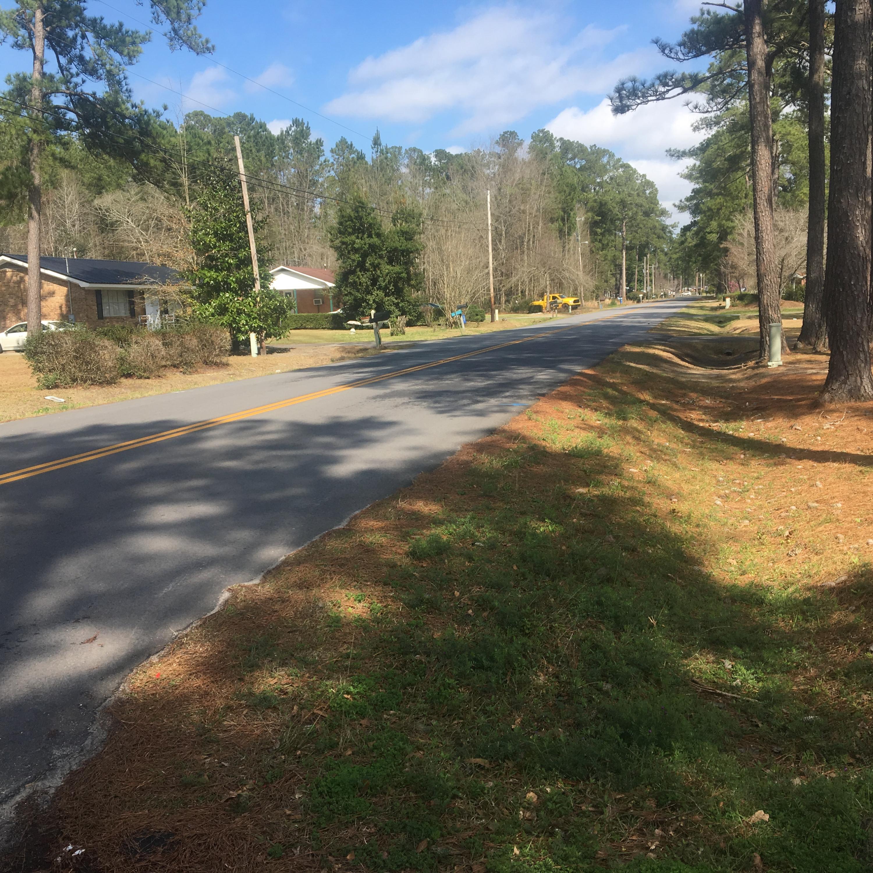 304 Gadsden Loop Walterboro, SC 29488 - Photo 17 of 17 IMG_1344