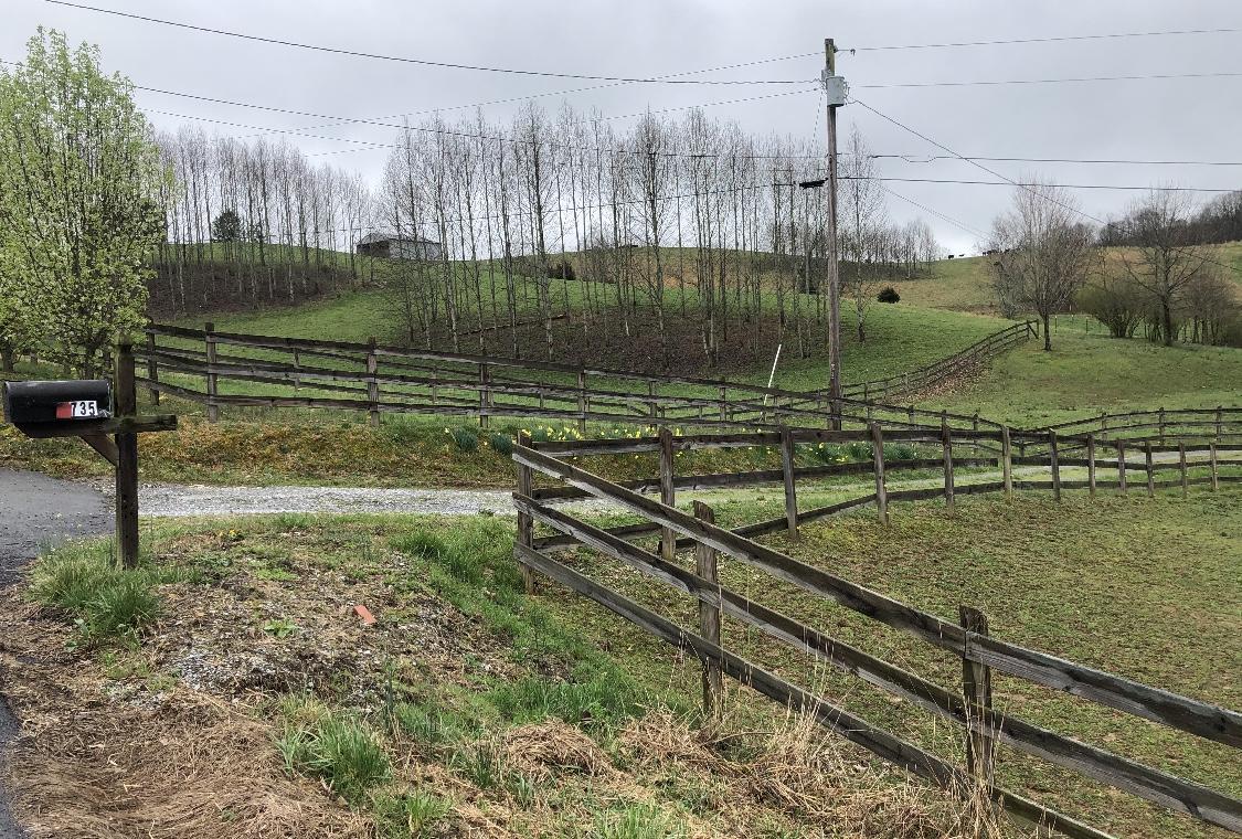 735 Walkertown Road Afton, TN 37616 - Photo 9 of 29 A87D5422-EBCF-4F91-9B8B-3EAA7DD3D2C1