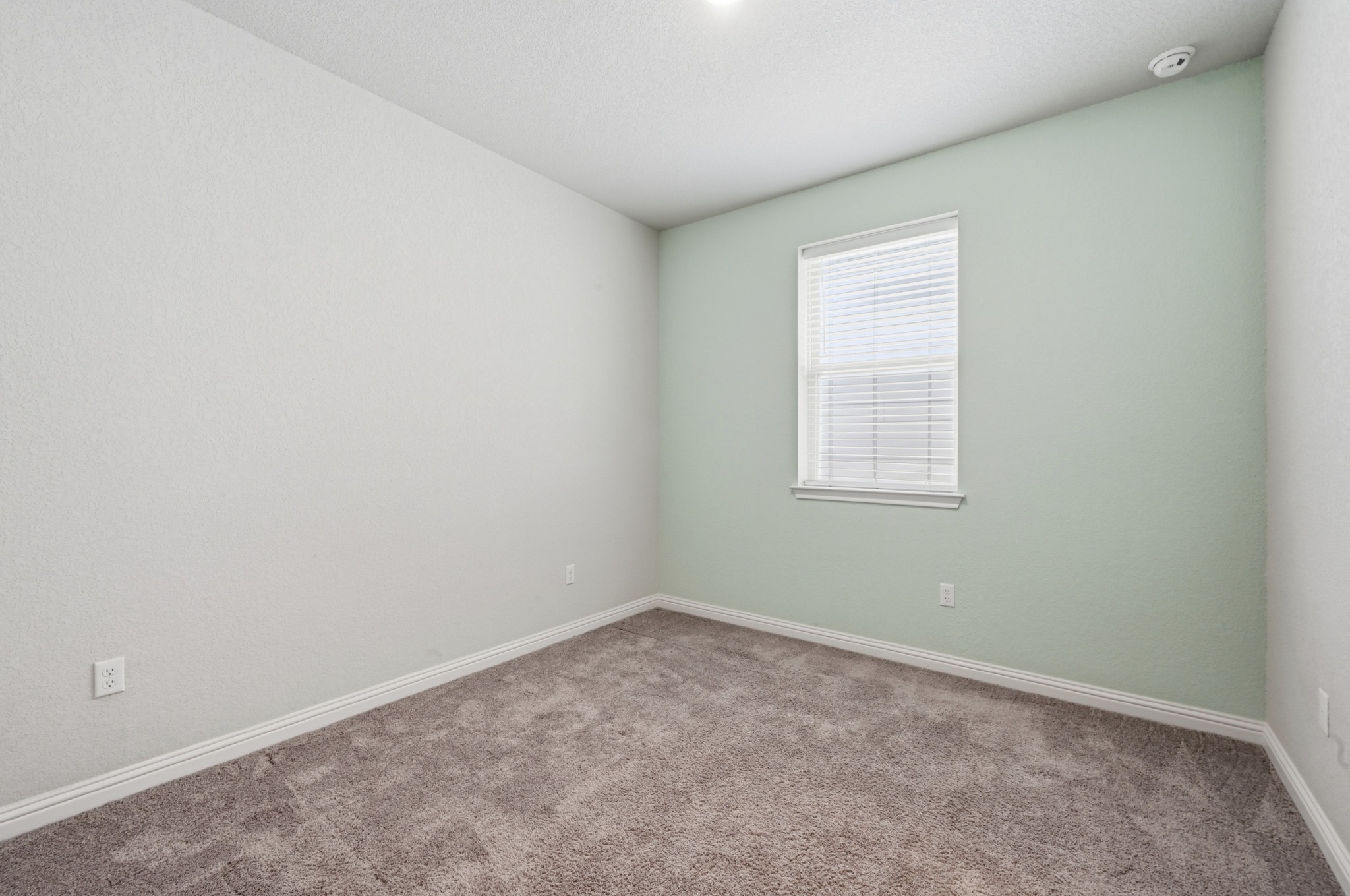 8201 Frida Bend Austin, TX 78744 - Photo 23 of 29 A well-lit bedroom offering plush carpeting and a bright window for natural illumination.