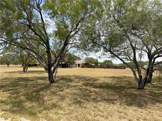 $309,900 | 296 County Road 1601, Alice, TX 78332