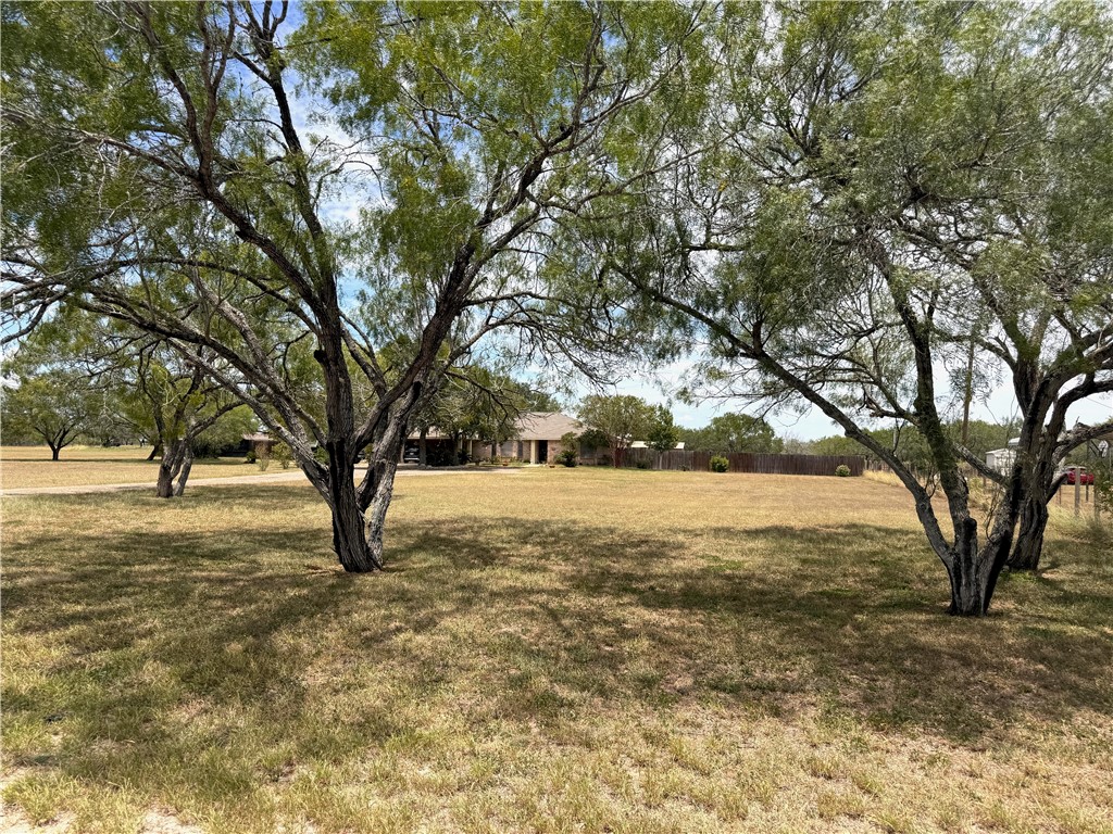 296 County Road 1601 Alice, TX 78332 - Photo 37 of 38 a view of yard with trees