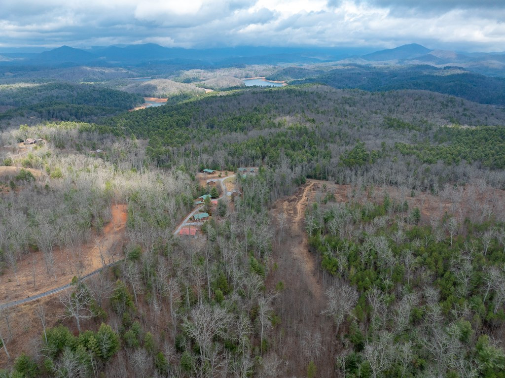 Lot 63 Lake Wood Road Murphy, NC 28906 - Photo 9 of 28