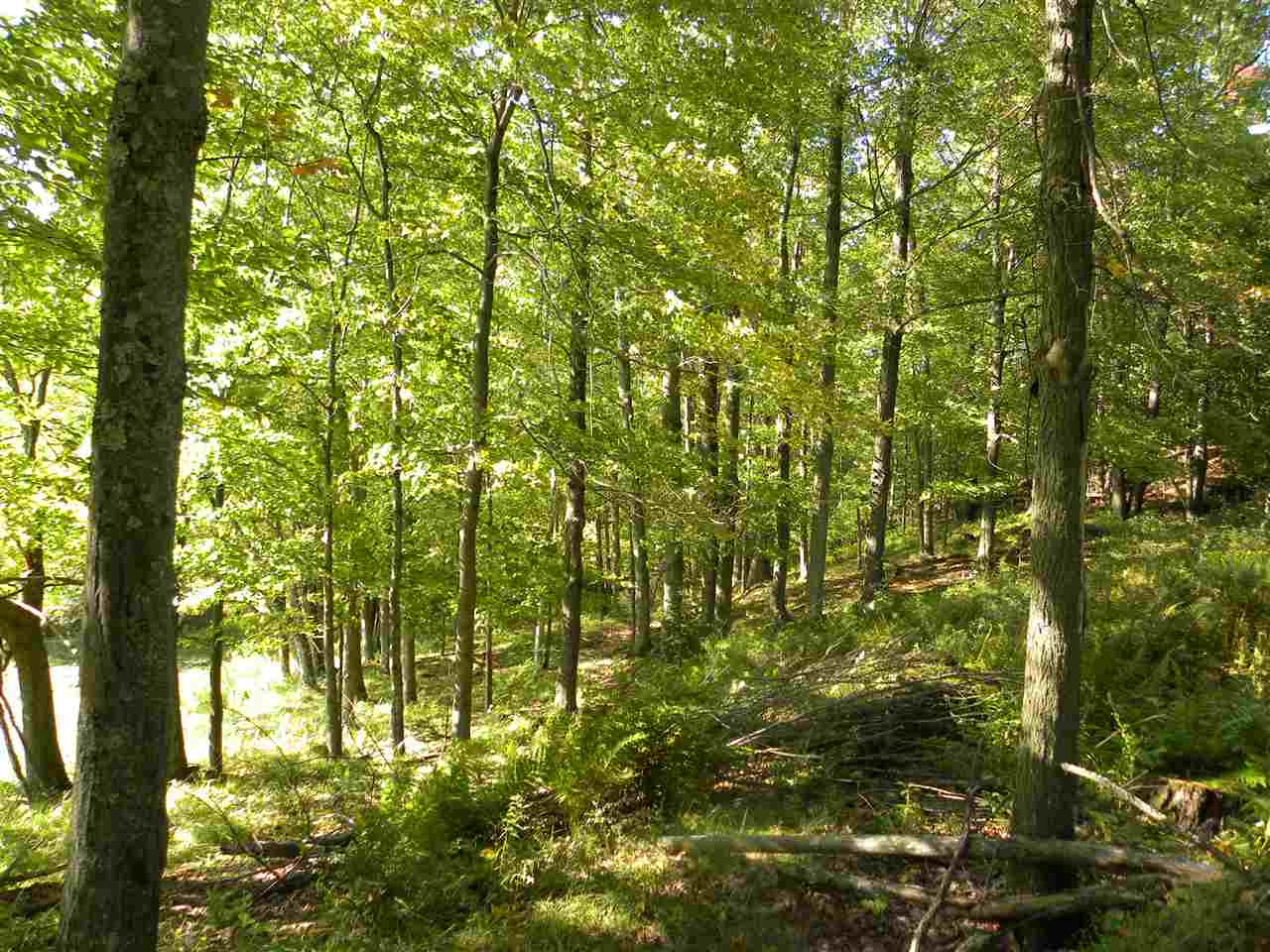 Meek Road Lowell, VT 05847 - Photo 10 of 10