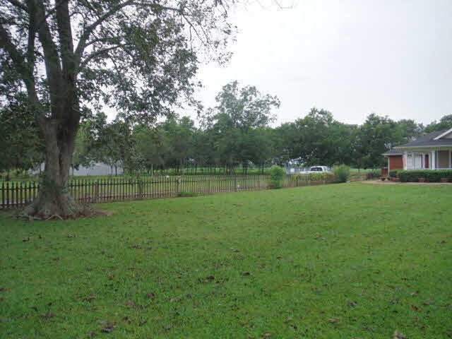 10611 County Road 95 Elberta, AL 36530 - Photo 5 of 19 Front yard