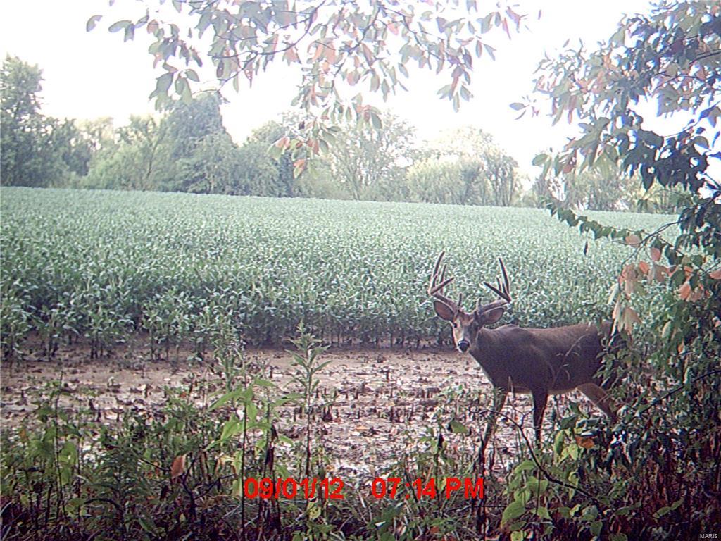 0 Seminary Road Brighton, IL 62012 - Photo 15 of 18