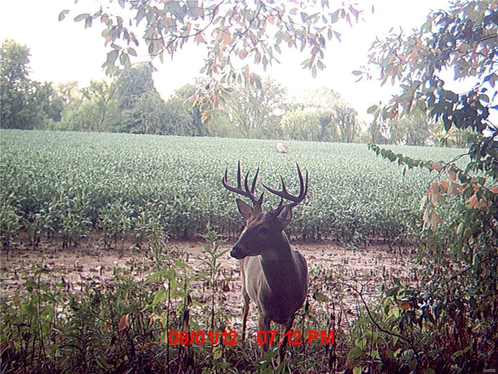 0 Seminary Road Brighton, IL 62012 - Photo 16 of 18