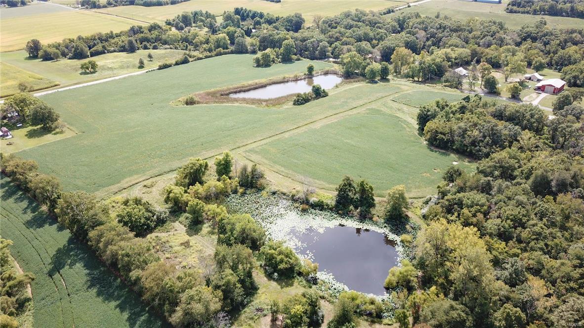 0 Seminary Road Brighton, IL 62012 - Photo 3 of 18