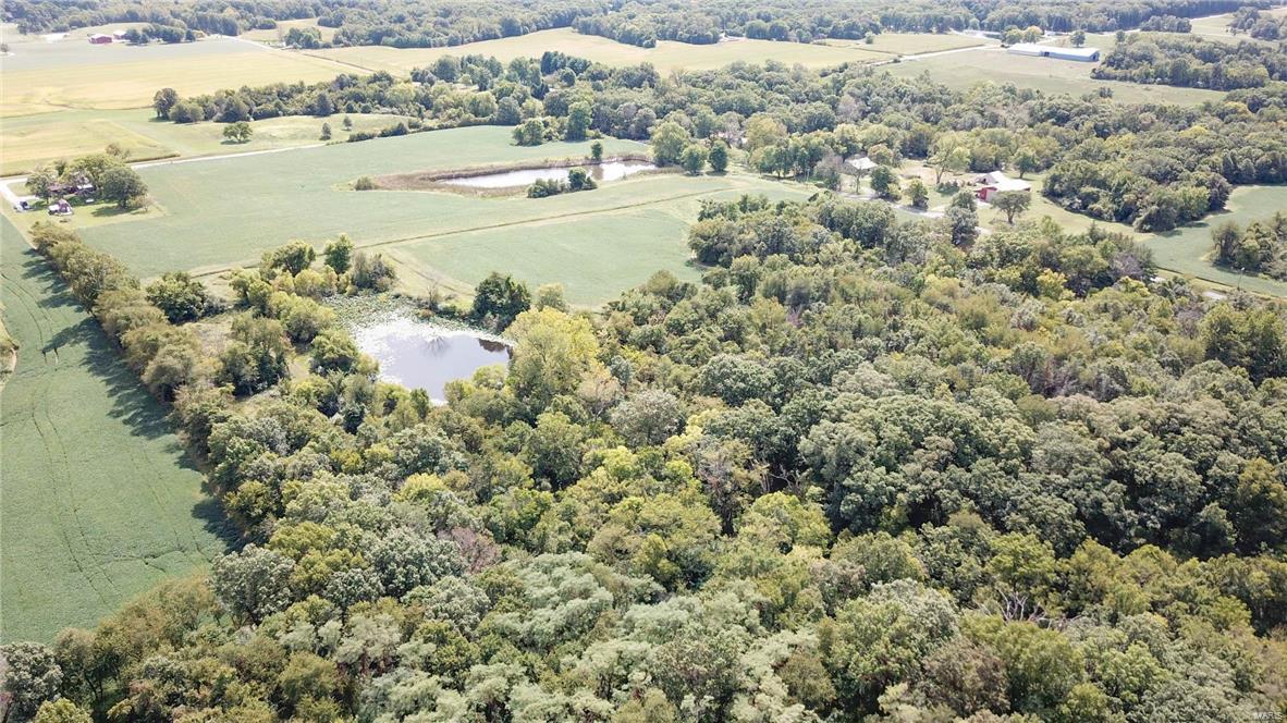 0 Seminary Road Brighton, IL 62012 - Photo 4 of 18