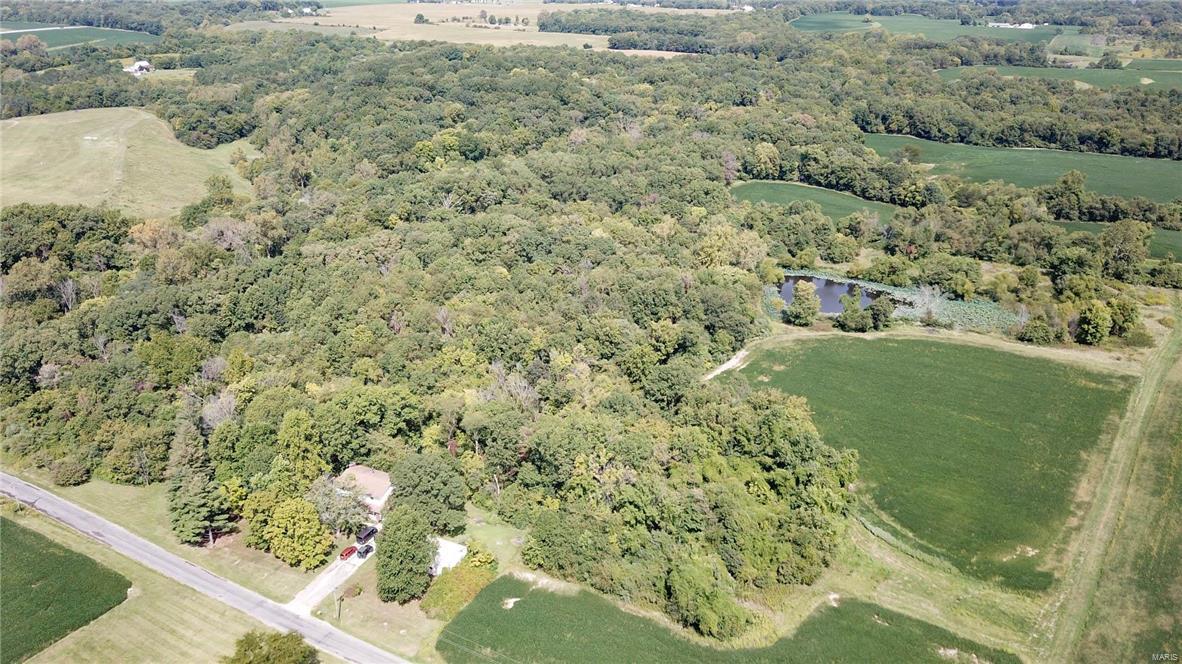 0 Seminary Road Brighton, IL 62012 - Photo 7 of 18