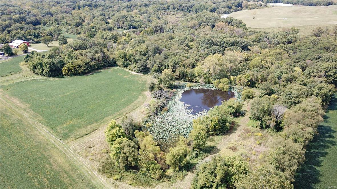 0 Seminary Road Brighton, IL 62012 - Photo 8 of 18