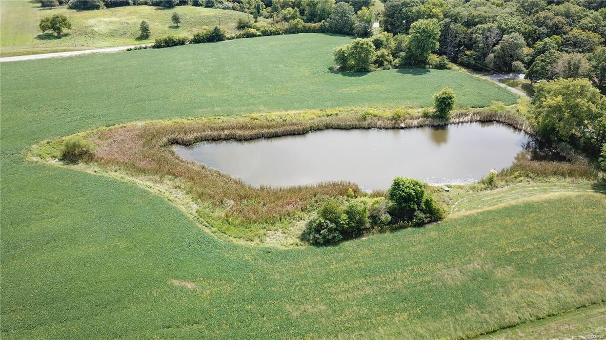 0 Seminary Road Brighton, IL 62012 - Photo 10 of 18