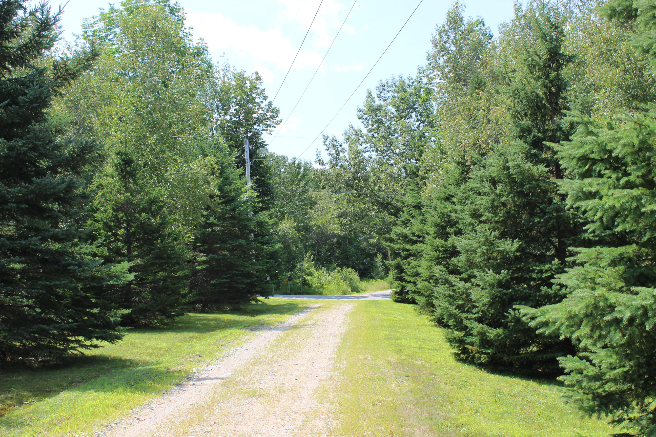 231 Town Farm Road Hartford, ME 04220 - Photo 4 of 20 IMG_1539