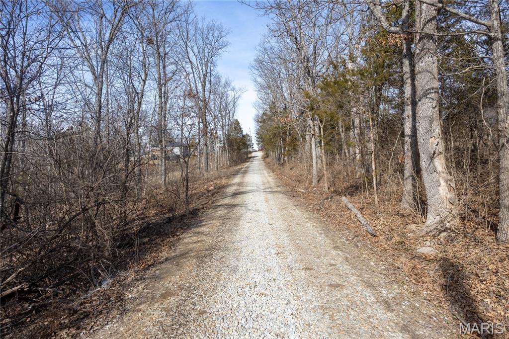 4632 Liberty School Road Hillsboro, MO 63050 - Photo 28 of 40