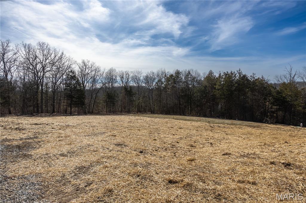 4632 Liberty School Road Hillsboro, MO 63050 - Photo 29 of 40