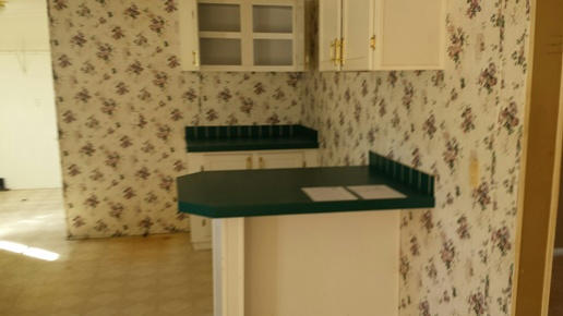 3155 Ries Road Laurel Hill, FL 32567 - Photo 3 of 8 Gallery Image 3