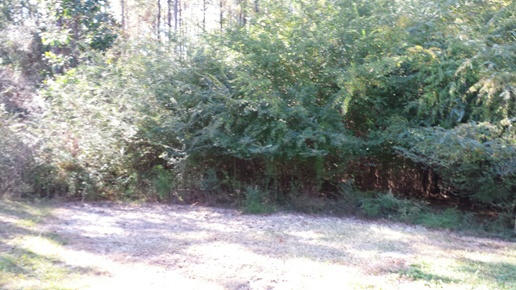 3155 Ries Road Laurel Hill, FL 32567 - Photo 7 of 8 Gallery Image 7