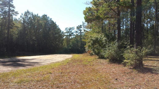 3155 Ries Road Laurel Hill, FL 32567 - Photo 8 of 8 Gallery Image 8