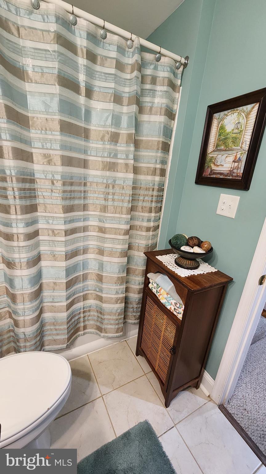 417 Spry Island Road Joppa, MD 21085 - Photo 33 of 41 Basement full bath