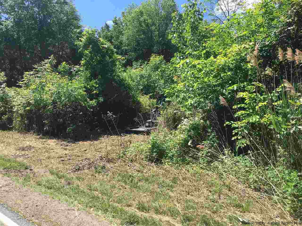 250 Lasher Road Tivoli, NY 12583 - Photo 3 of 13 Photo 3