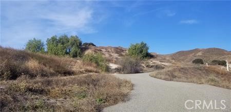 a view of a dry yard