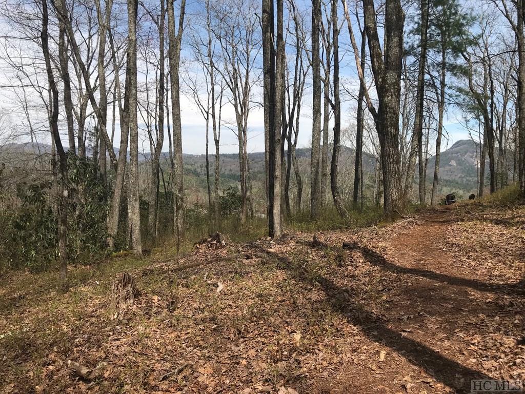 Lot 13 High Cliffs Road Cashiers, NC 28717 - Photo 6 of 27 Gallery Image 6