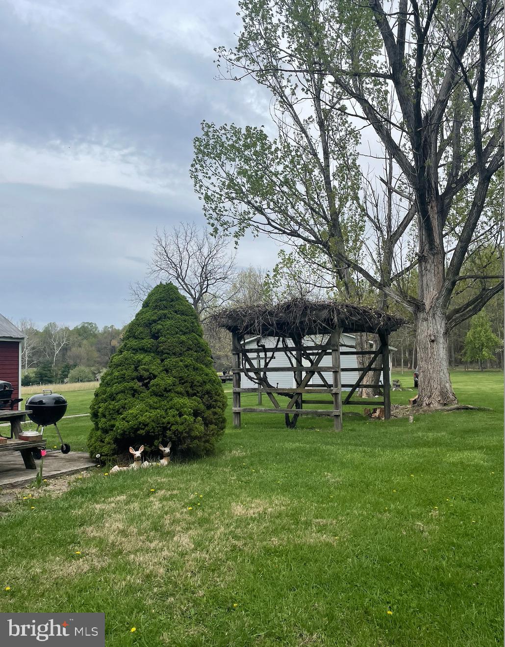 21006 Boonsboro Mountain Road Boonsboro, MD 21713 - Photo 9 of 9 a backyard of a house with lots of green space