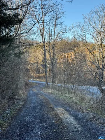 a view of backyard with large trees