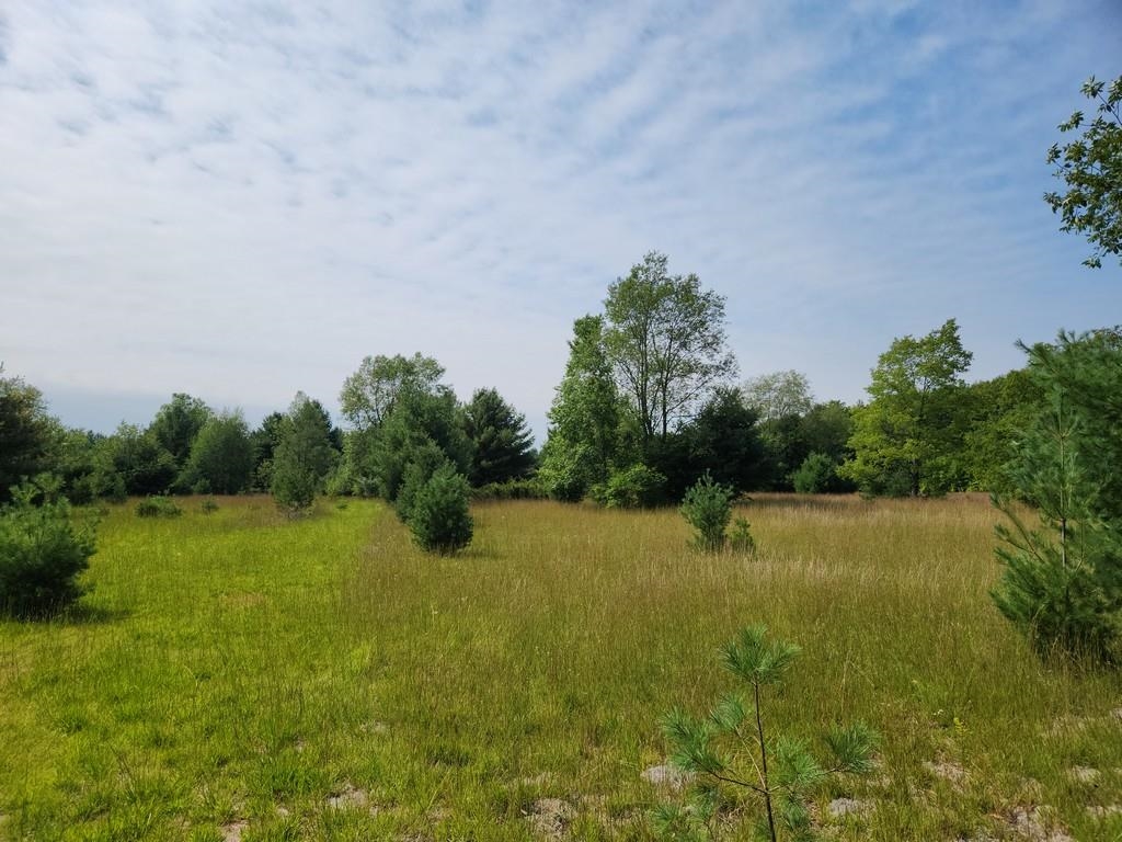 Off Crawford Lake Road Northeast Kalkaska, MI 49646 - Photo 3 of 25