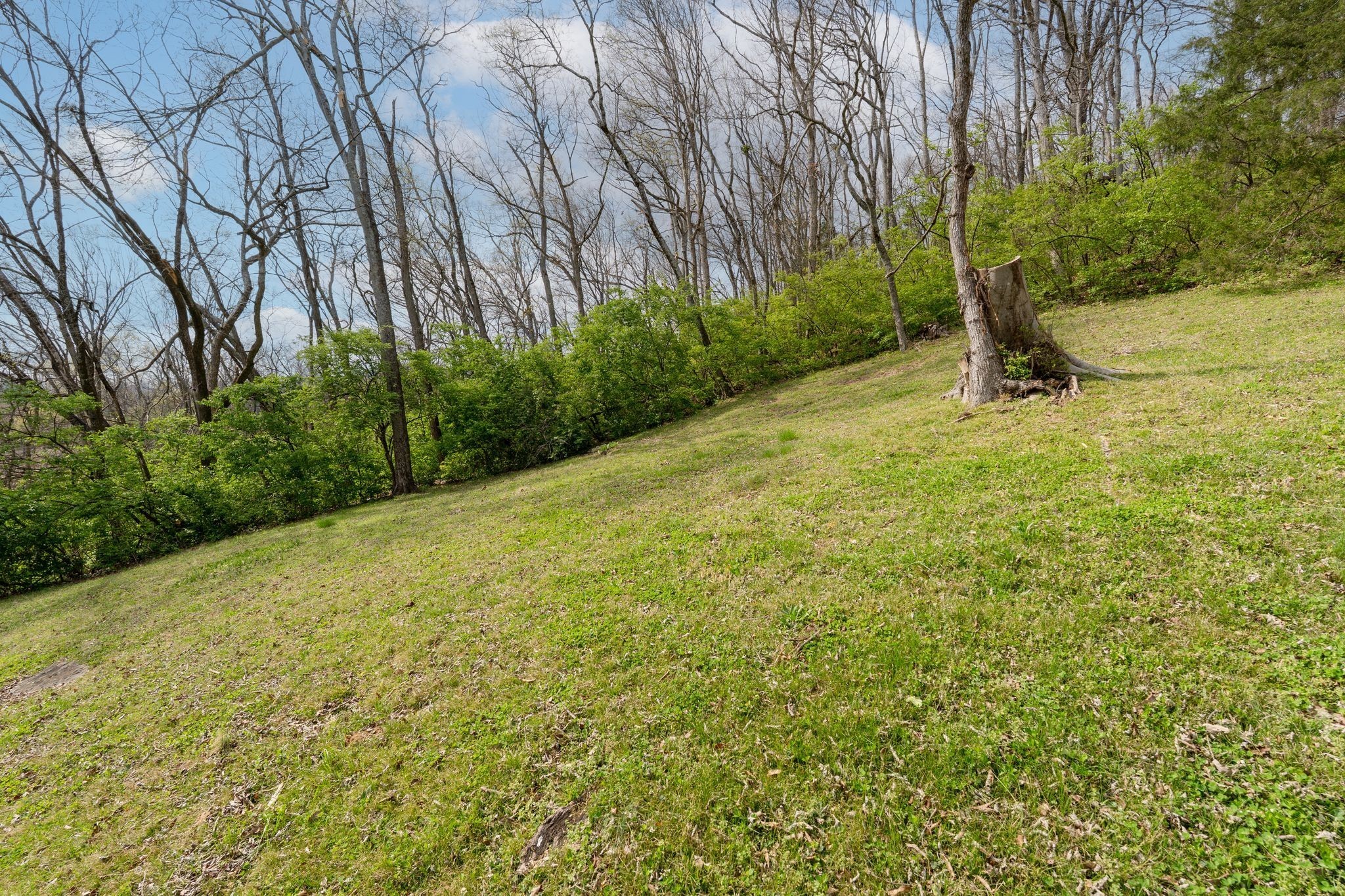 6612 Fox Hollow Road Nashville, TN 37205 - Photo 40 of 44
