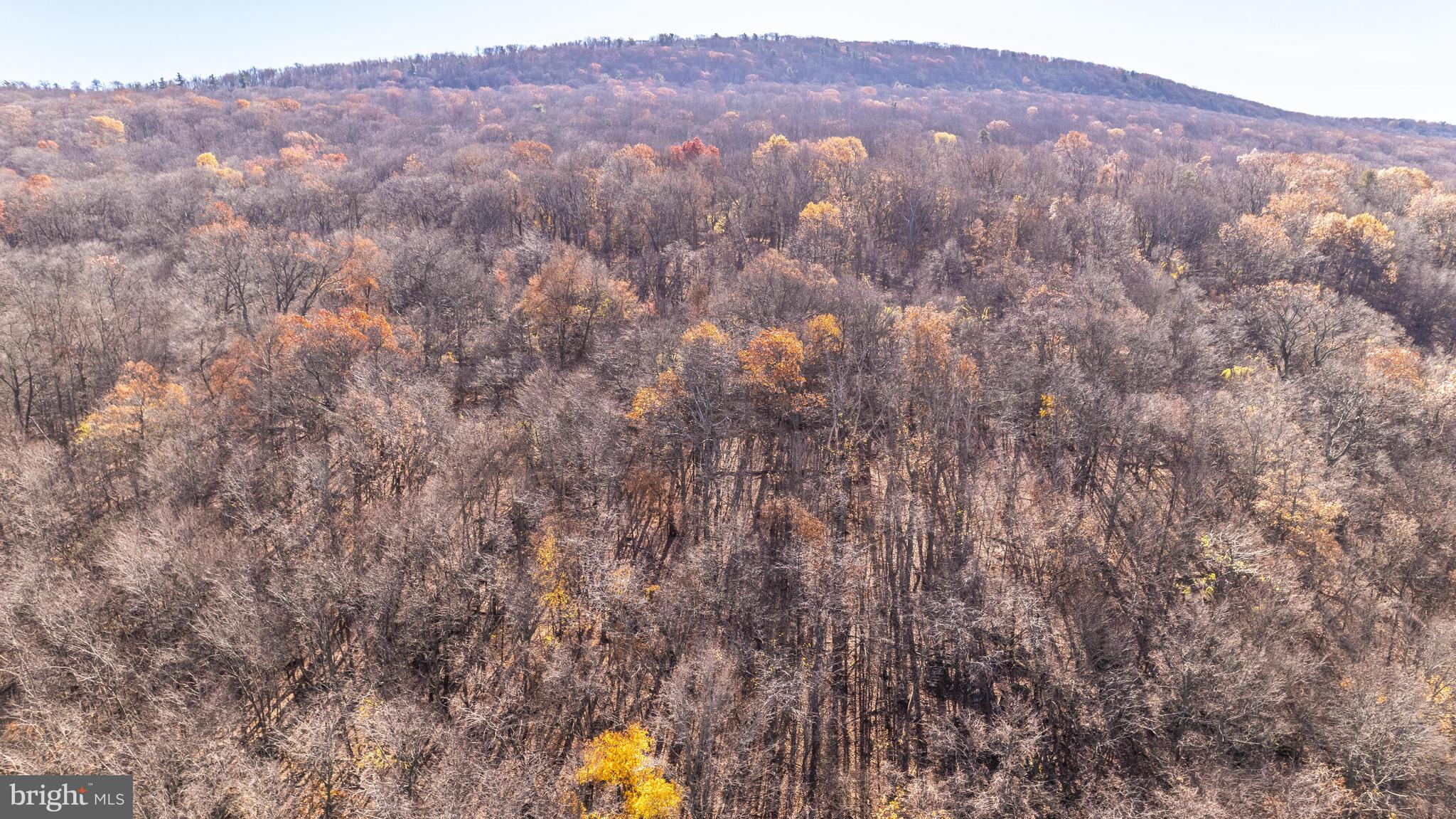 14543 Edgemont Road Smithsburg, MD 21783 - Photo 38 of 41 DJI_0119