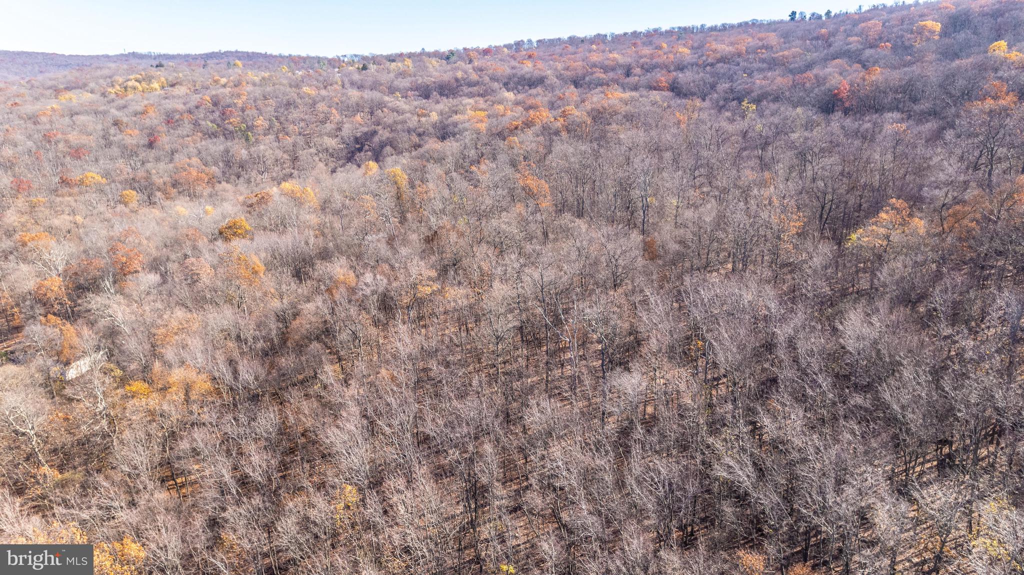 14543 Edgemont Road Smithsburg, MD 21783 - Photo 39 of 41 DJI_0117
