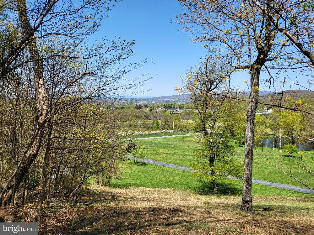 14543 Edgemont Road Smithsburg, MD 21783 - Photo 8 of 41 Gallery Image 8
