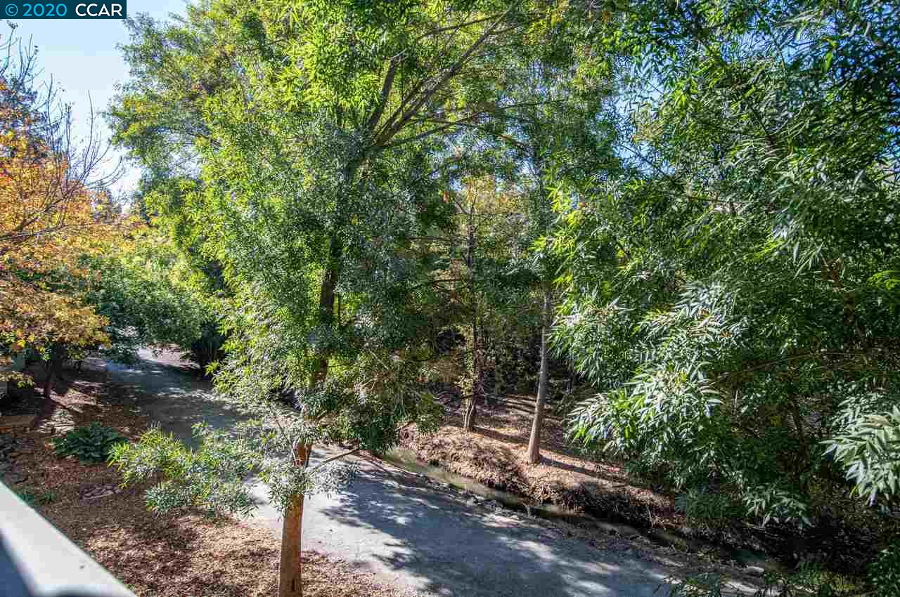 342 Mill Road Martinez, CA 94553 - Photo 18 of 23