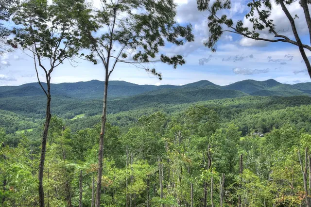 a view of a lush green hillside and a houses