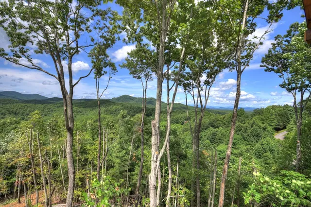 a view of a deck with wooden floor and roof with a garden view