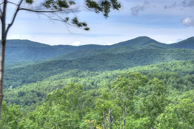 a view of outdoor space with green space