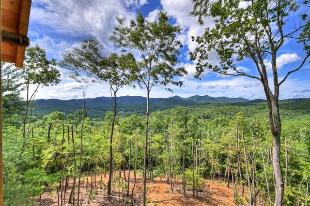 a blue and white house with a big yard and potted plants in front of it