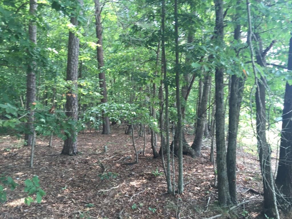 60-ac 60-ac Hauser Road Pinnacle, NC 27043 - Photo 11 of 20