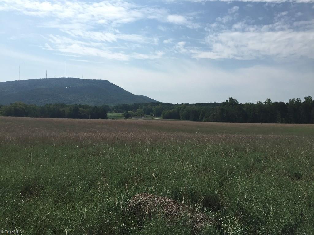 60-ac 60-ac Hauser Road Pinnacle, NC 27043 - Photo 12 of 20