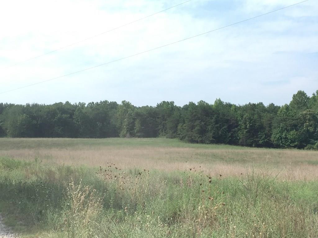 60-ac 60-ac Hauser Road Pinnacle, NC 27043 - Photo 14 of 20