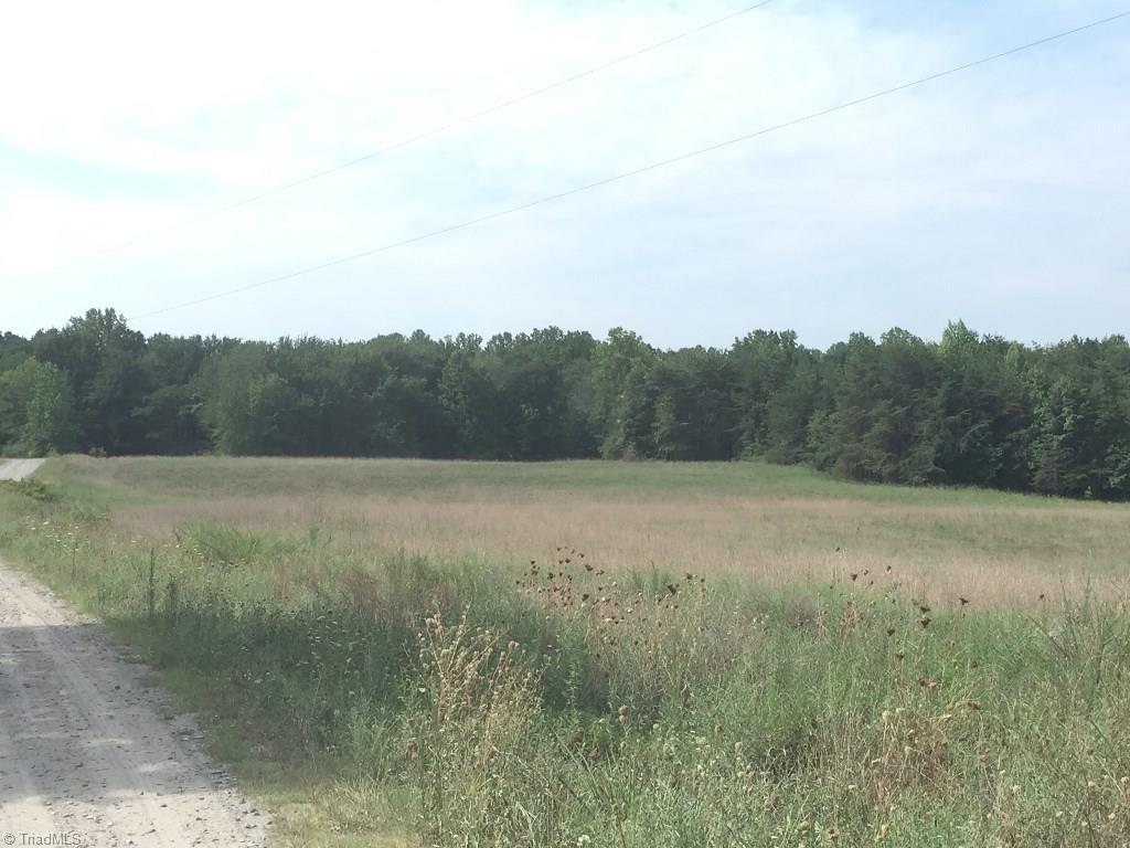 60-ac 60-ac Hauser Road Pinnacle, NC 27043 - Photo 15 of 20