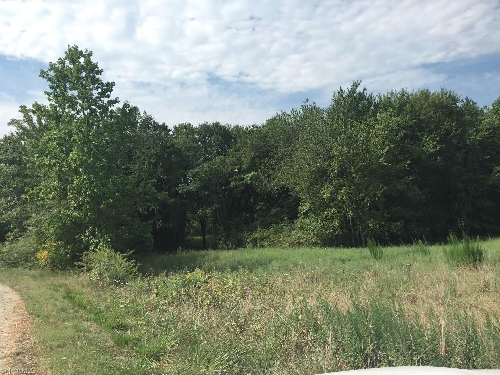 60-ac 60-ac Hauser Road Pinnacle, NC 27043 - Photo 16 of 20