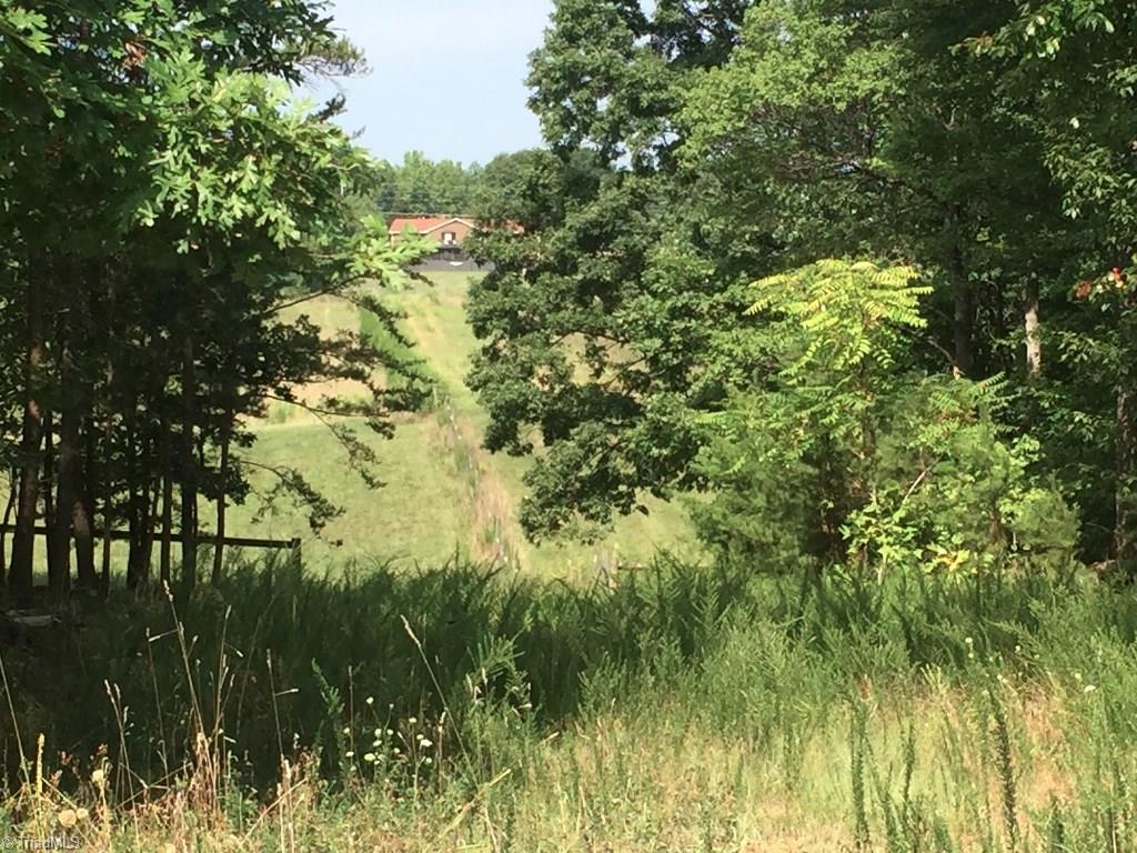60-ac 60-ac Hauser Road Pinnacle, NC 27043 - Photo 17 of 20