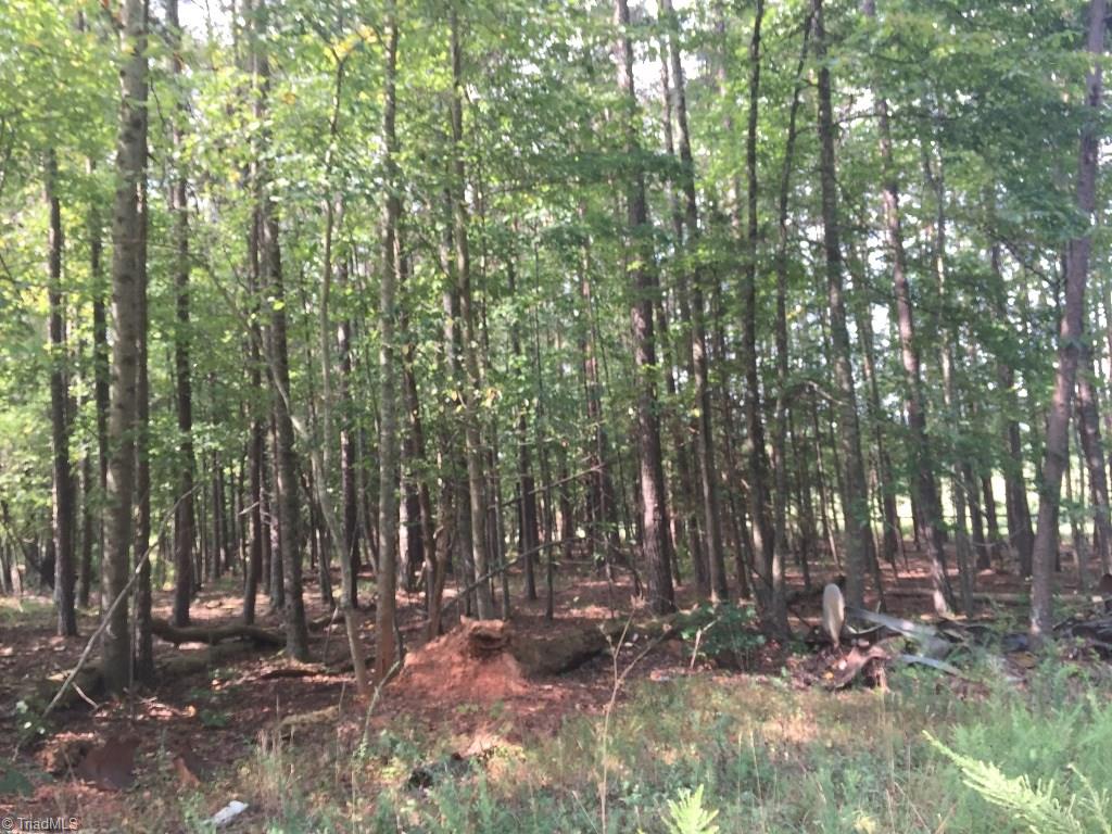 60-ac 60-ac Hauser Road Pinnacle, NC 27043 - Photo 18 of 20