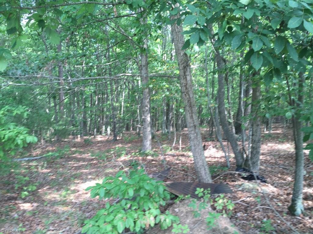 60-ac 60-ac Hauser Road Pinnacle, NC 27043 - Photo 19 of 20