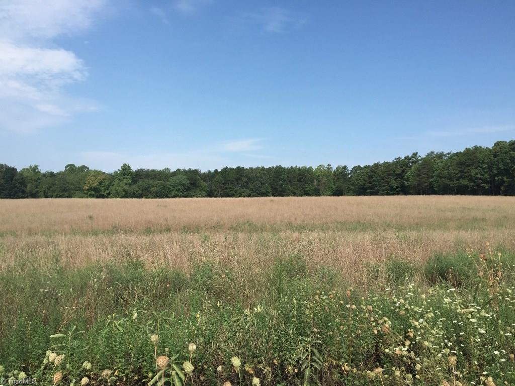 60-ac 60-ac Hauser Road Pinnacle, NC 27043 - Photo 3 of 20