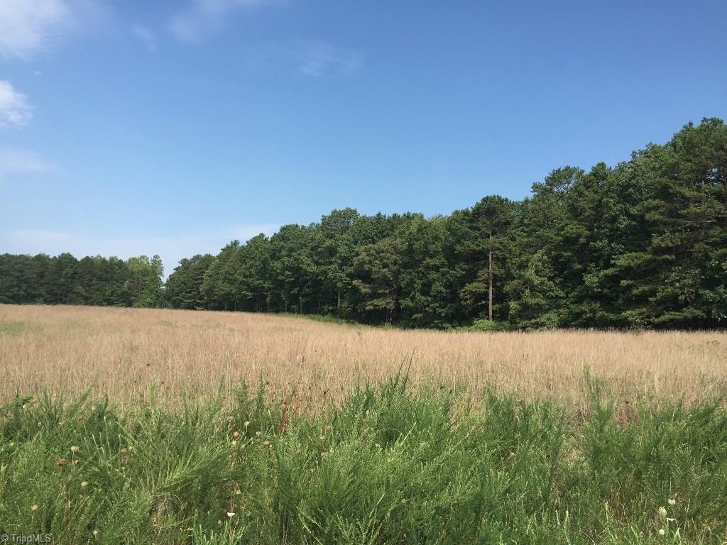 60-ac 60-ac Hauser Road Pinnacle, NC 27043 - Photo 4 of 20